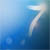 windows 7 logo